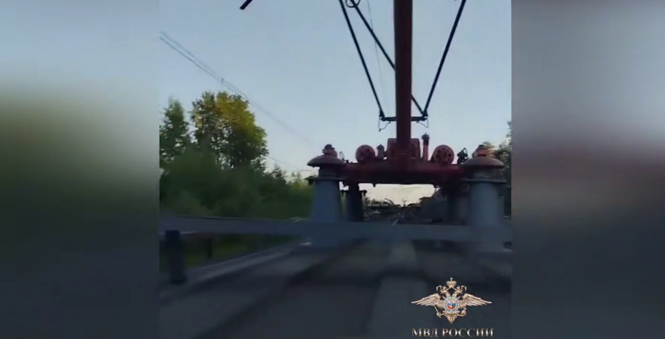 Несовершеннолетнего зацепера задержали на станции Славянка в Петербурге
